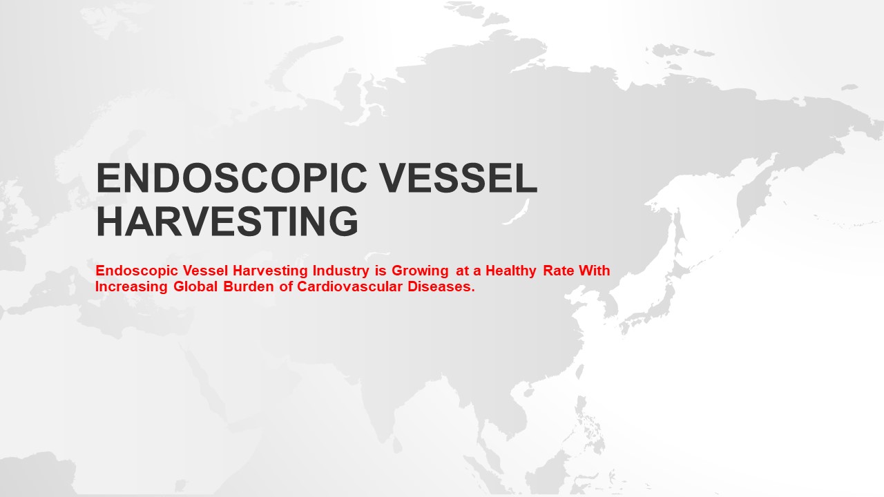 Endoscopic Vessel Harvesting Market - Key Industry Insights, Current and Future Perspectives